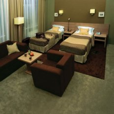 Мебель для гостиниц Pansion